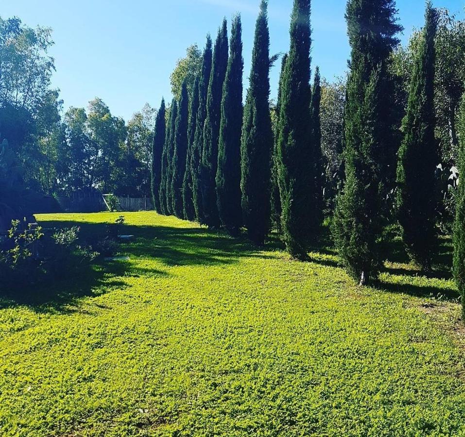 Apartament Il Piccolo Borgo Montalto di Castro Zewnętrze zdjęcie