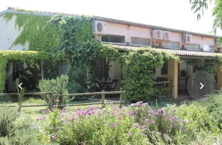 Apartament Il Piccolo Borgo Montalto di Castro Zewnętrze zdjęcie