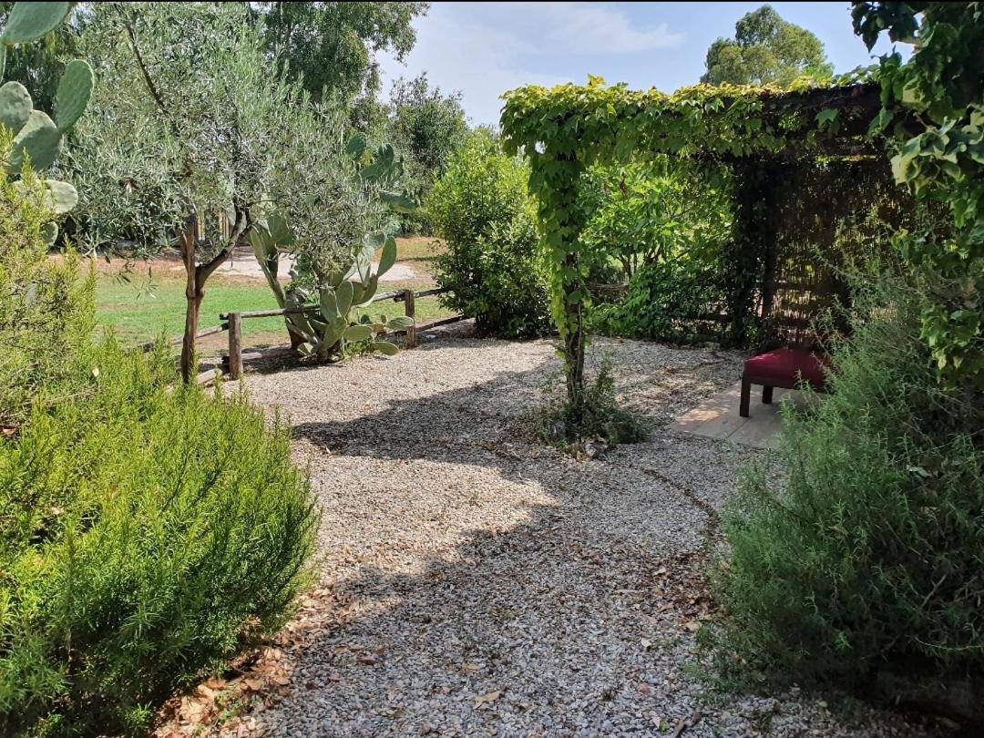 Apartament Il Piccolo Borgo Montalto di Castro Zewnętrze zdjęcie